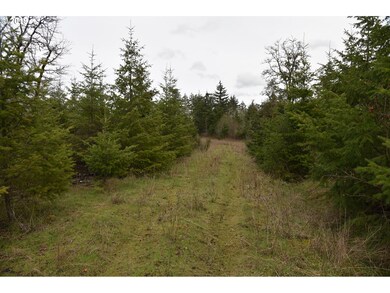 18400 Highway 22, Sheridan, OR 97378 - photo 6