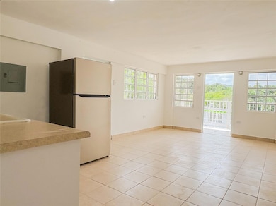 181 Bo Jagual, Gurabo, PR 00778 - photo 3