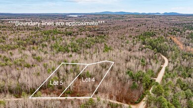 M10L29A4&5 Miller Ln, Surry, ME 04684 - photo 7