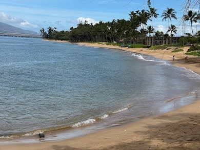 83 W Kapu Place, Kihei, HI 96753 - photo 2