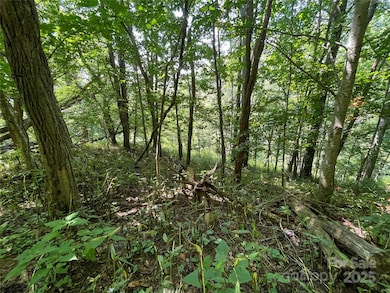 TBD Fletcher Branch Rd, Vilas, NC 28692 - photo 7