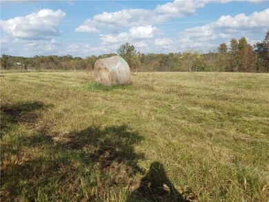 Tract1 Shinn Springs Rd, Siloam Springs, AR 72761 - photo 6