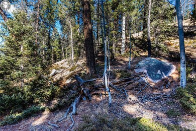 TBD Arrowhead Rd, Florissant, CO 80816 - photo 5