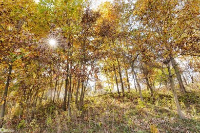 TBD Harvest Ave, Bloomfield, IA 52537 - photo 4