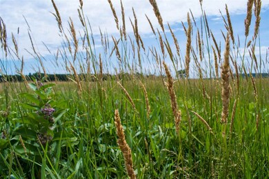 N8477 5th Ave, Camp Douglas, WI 54618 - photo 5