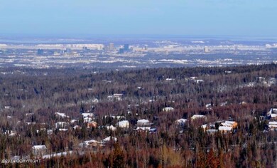 L14 B6 Manorwood Pointe Cir, Anchorage, AK 99516 - photo 2