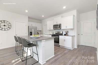 12133 Lady Bell Dr, Charlotte, NC 28278 - photo 5