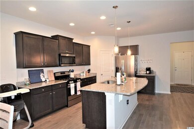 179 Long Leaf Pine Dr unit Lot 45, Conway, SC 29526 - photo 7