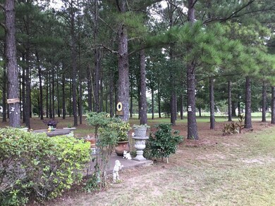 109 Railroad Rd, Colquitt, GA 39837 - photo 3