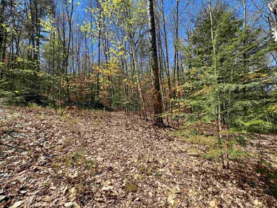 00 Ramsay Hill Rd, Walpole, NH 03608 - photo 4