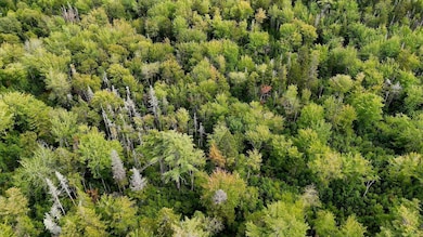 17-Timeline 1_01_00_06_13