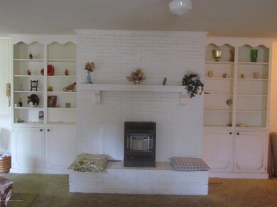Fireplace and book shelves in Den