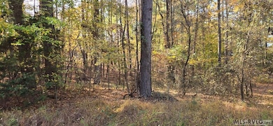 0 Weavers Chapel Rd, Littleton, NC 27850 - photo 2