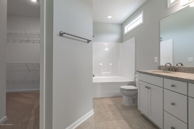 Master bathroom #2