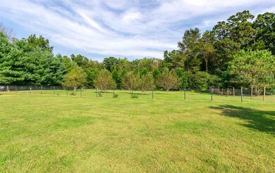 2034 Mt Torrey Rd, Lyndhurst, VA 22952 - photo 5