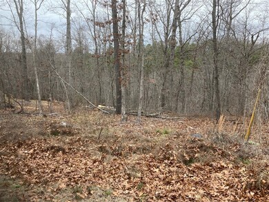 0 Enfield Dr, Bella Vista, AR 72715 - photo 2