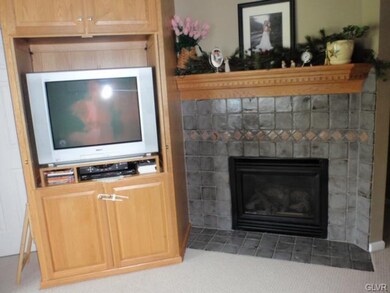 Entertainment cabinet remains, natural gas firepla