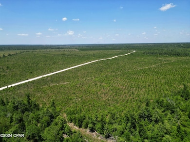 Lot 17 NW K B Jones Rd, Clarksville, FL 32430 - photo 4