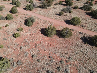 DJI_0256