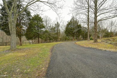 wood valley by CWDavis006