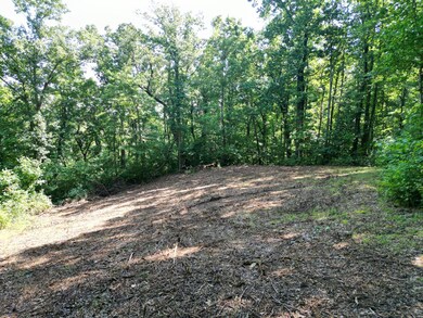 DJI_0159
