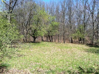 0 N Felch Ave unit 12022318, Sherman Township - Newaygo, MI 49349 - photo 3