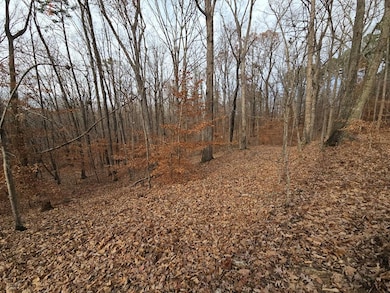 Lots 3-4 Powhatan Rd, Clarksville, VA 23927 - photo 2