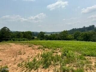 7 Clark Rd, Rutledge, TN 37861 - photo 7