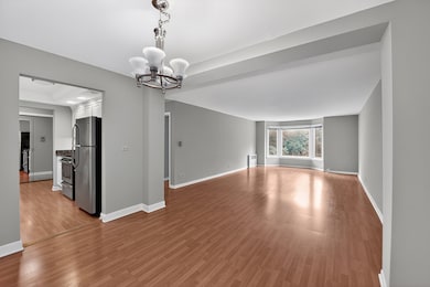 Bristol Courts Condo unit 1J, Park Ridge, IL 60068 - photo 7