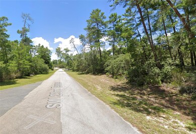 TBD SW 21st Cir, Ocala, FL 34473 - photo 4