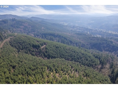 0 NE Cedar Mist Rd, Amboy, WA 98674 - photo 4