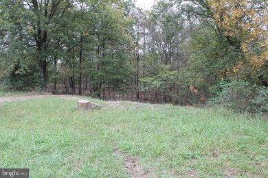 0 0 890 Acres Fountain Head Dr, Keyser, WV 26726 - photo 5