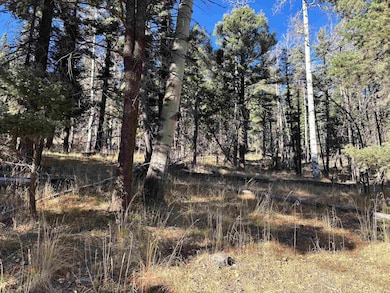 Lot 1490 Royal Ave, Angel Fire, NM 87710 - photo 5