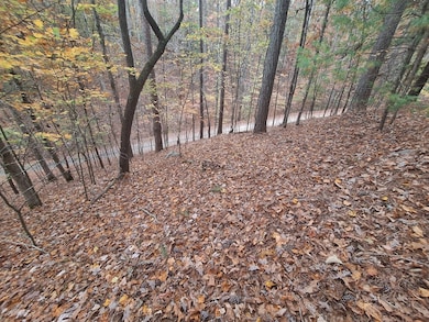 LT2909 Newton Ln, Ellijay, GA 30540 - photo 4