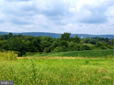 3726 Petersville Rd, Knoxville, MD 21758 - photo 4