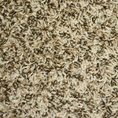carpet2