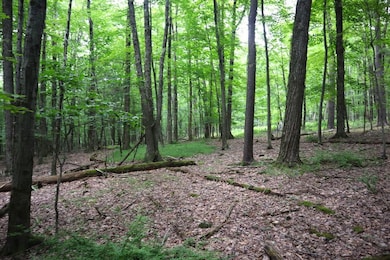 0 Slivko Rd unit LotWP001 17796563, Nassau, NY 12123 - photo 4