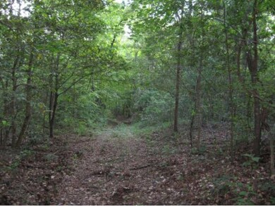 67.44 ac Cr 713, Nacogdoches, TX 75964 - photo 3