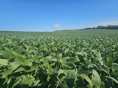 001 160th St, Elmo, MO 64445 - photo 5