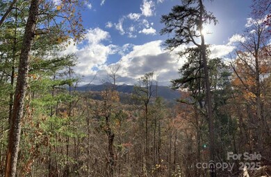 Lot 5 Osprey Mountain Way unit 5, Webster, NC 28779 - photo 6