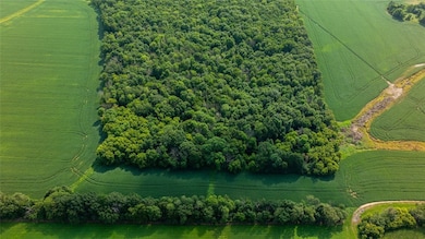 0 140th Ave unit 1597483, Glenwood City, WI 54013 - photo 5