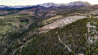 dji_fly_20250529_061439_0_1748520879560_