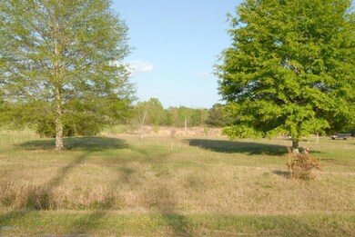 153 Wes Havard Rd, Lucedale, MS 39452 - photo 3