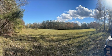 View of grassy yard with a forest view and a view of rural / pastoral area