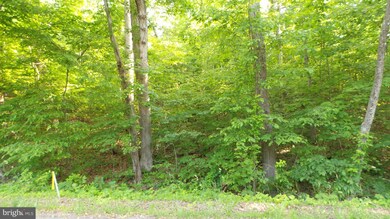 3 Householder Rd, Hedgesville, WV 25427 - photo 7