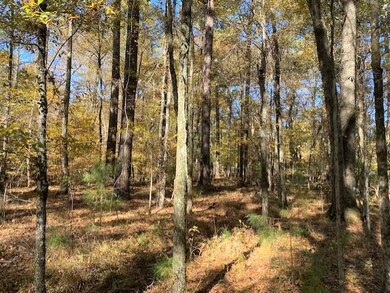 5102 Hereford Farm Rd, Evans, GA 30809 - photo 2