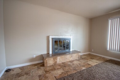 Wood Stove
