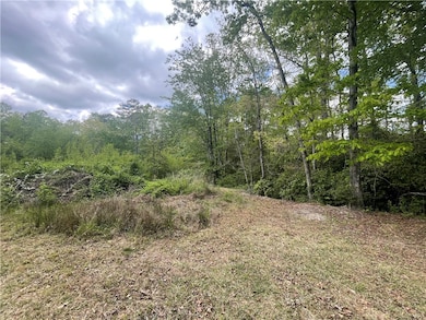 31 A Bonner Rd, Mountain  Rest, SC 29664 - photo 6