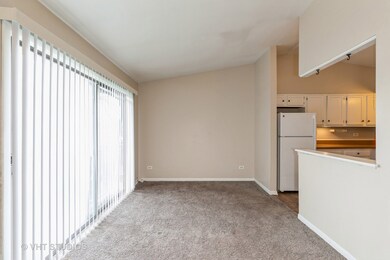 4131 193rd St unit 266, Country Club Hills, IL 60478 - photo 6