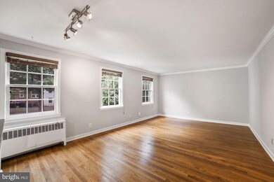 2217 Washington Ave unit 103, Silver Spring, MD 20910 - photo 5